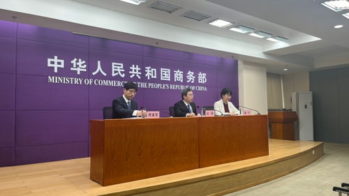 中非經貿深度合作先行區助力非洲產業現代化